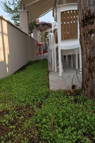 Vira Hotel Dalyan Ngoại thất bức ảnh